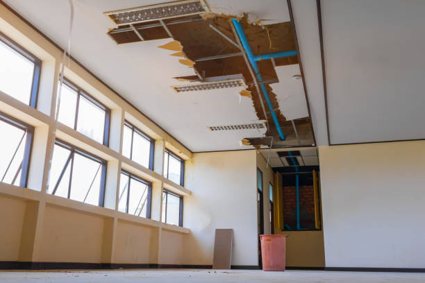 Best Water damage cleanup near me  in Bellefonte, DE