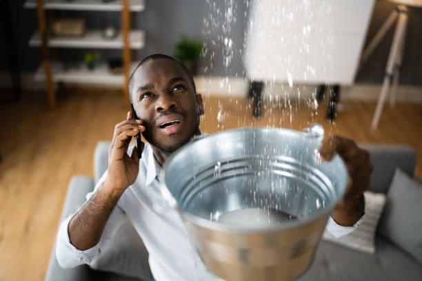 Best Carpet water damage restoration  in Bellefonte, DE
