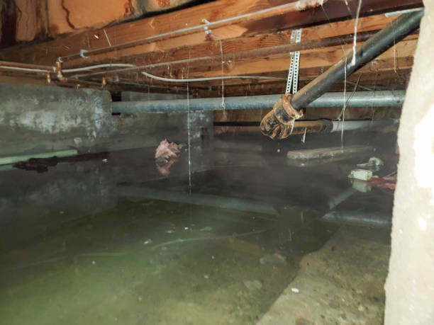 Best 24/7 water damage repair  in Bellefonte, DE