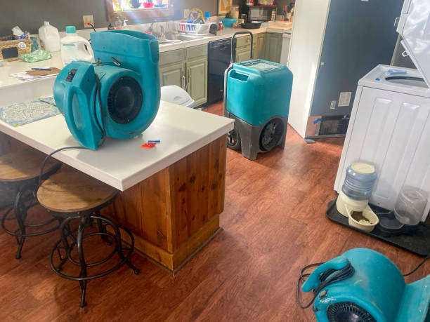 Best Emergency water damage restoration  in Bellefonte, DE