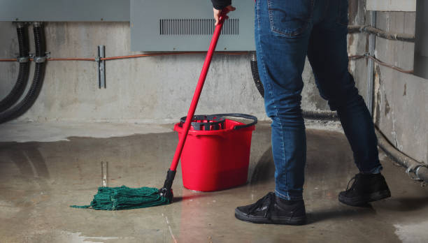 Carpet water damage restoration in Bellefonte, DE