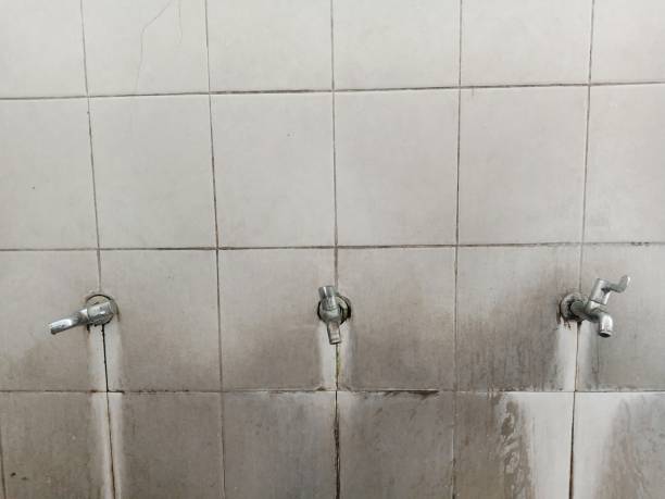Best Fire Damage Restoration  in Bellefonte, DE