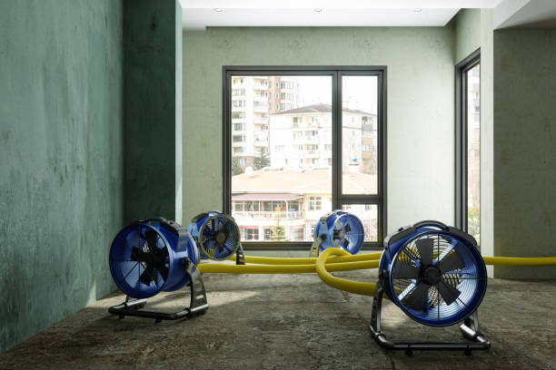 Best Residential water damage restoration  in Bellefonte, DE