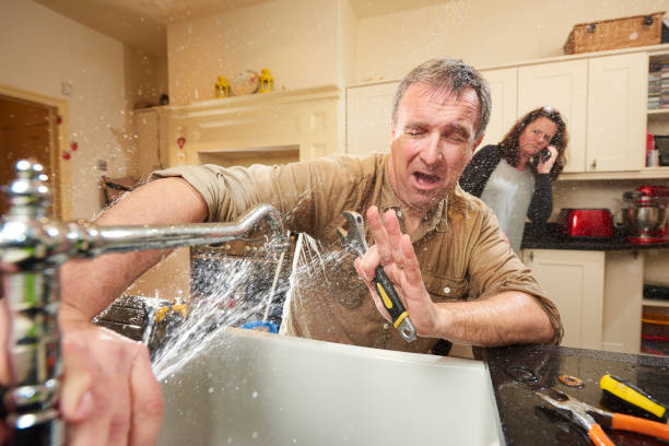 Best Basement water damage restoration  in Bellefonte, DE
